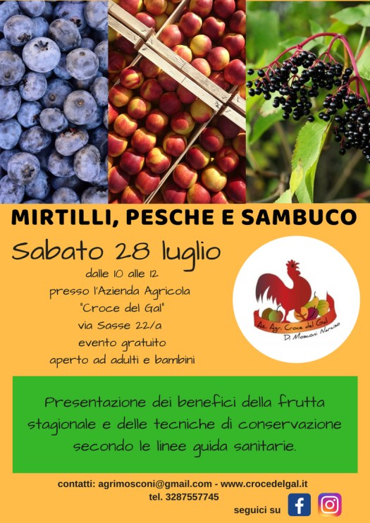 pesche mirtilli (1).jpg