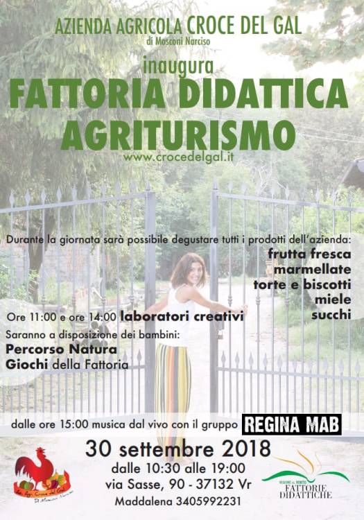 WhatsApp Image 2018-09-11 at 07.22.48.jpeg