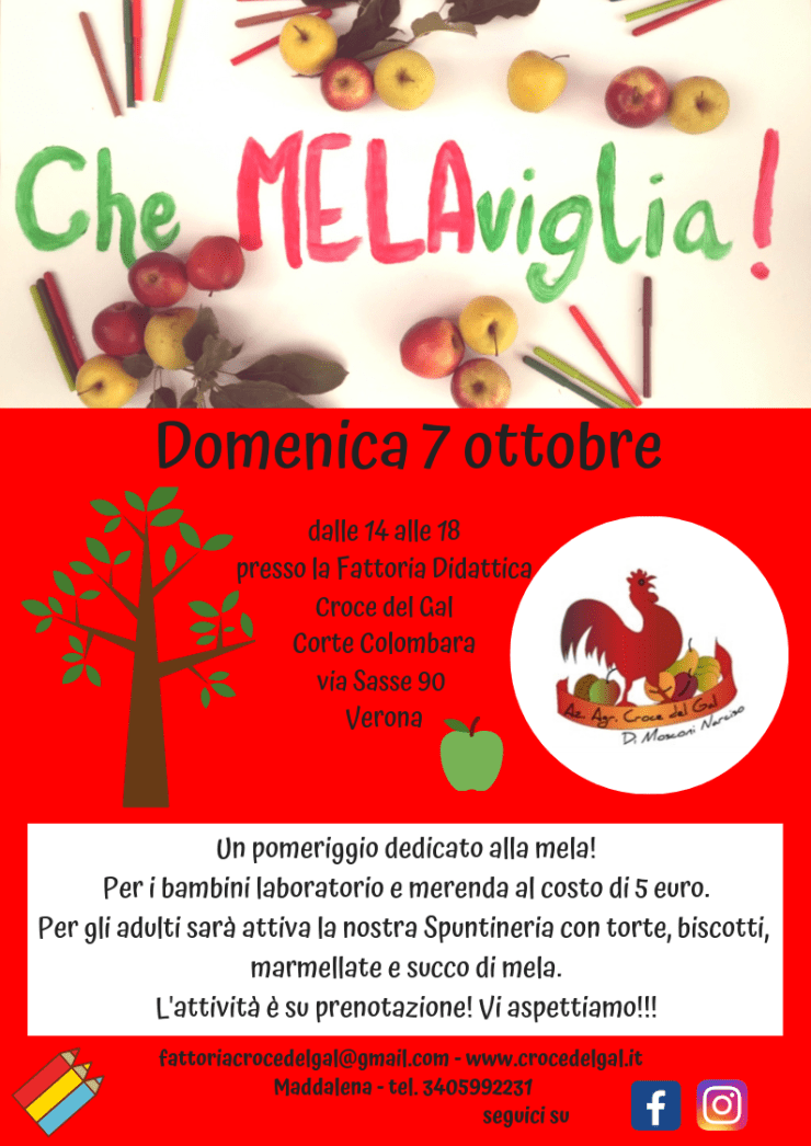 che melaviglia 2.png